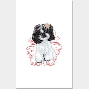 Cute Poodle Posters and Art